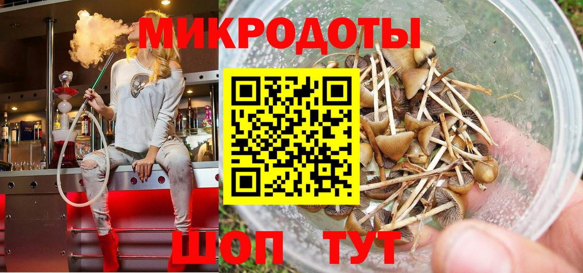 Галлюциногенные грибы Psilocybe Каспийск