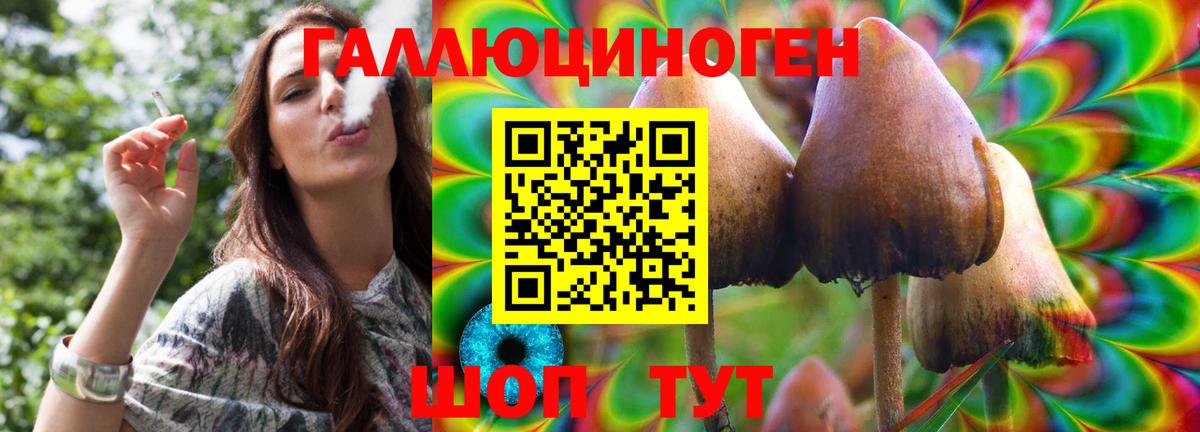 Каспийск  Псилоцибиновые грибы мицелий  Вход с VPN 